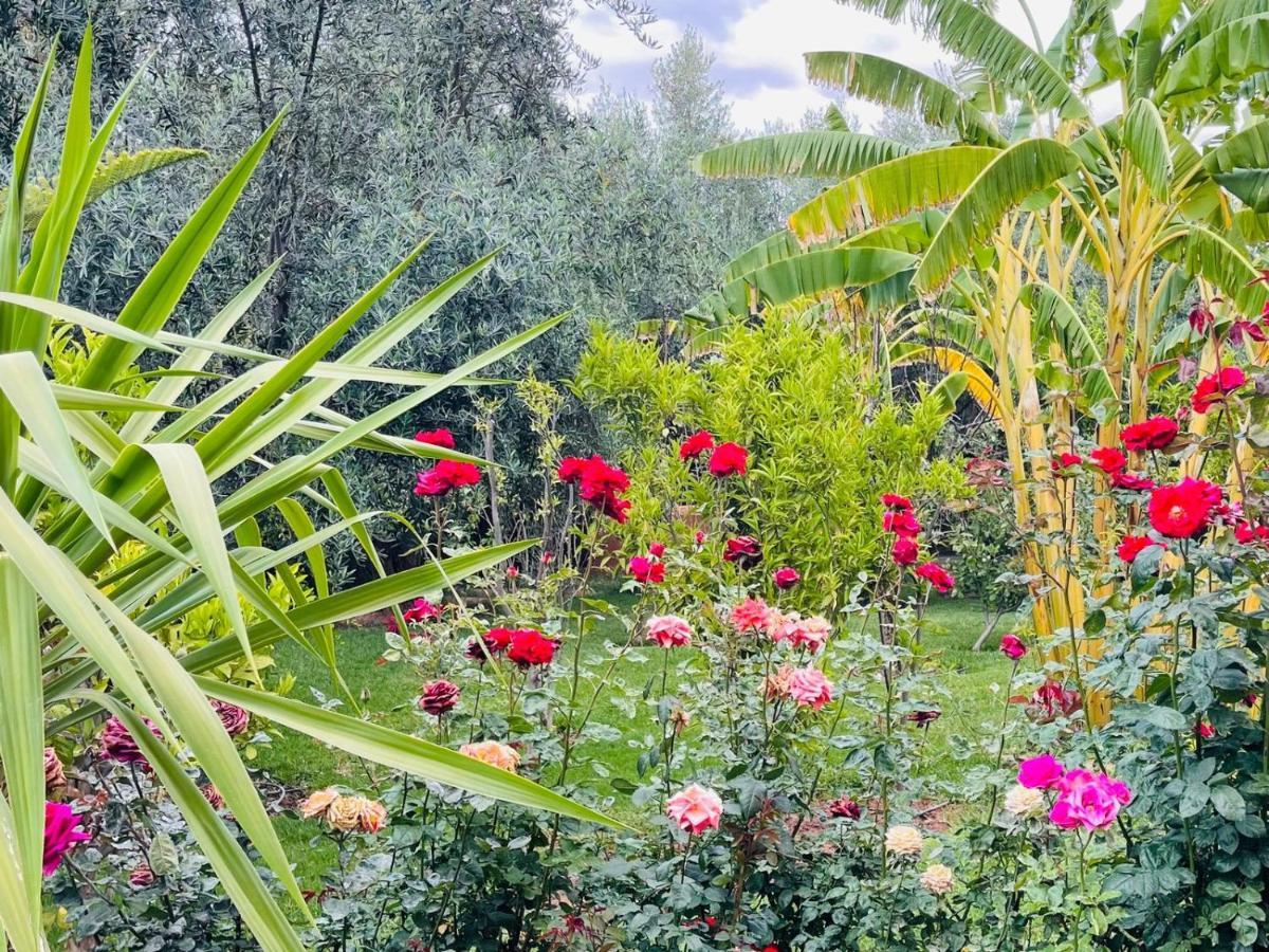 Ilafe Farmhouse, Villa avec piscine chauffée privée et Jacuzzi pour familles Marrakesh Esterno foto