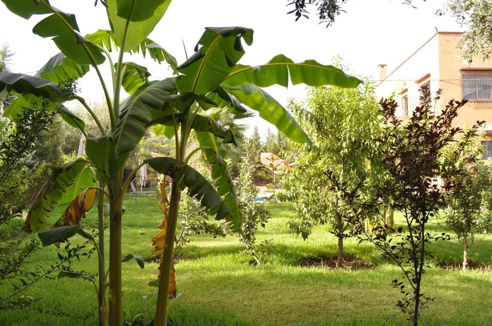 Ilafe Farmhouse, Villa avec piscine chauffée privée et Jacuzzi pour familles Marrakesh Esterno foto